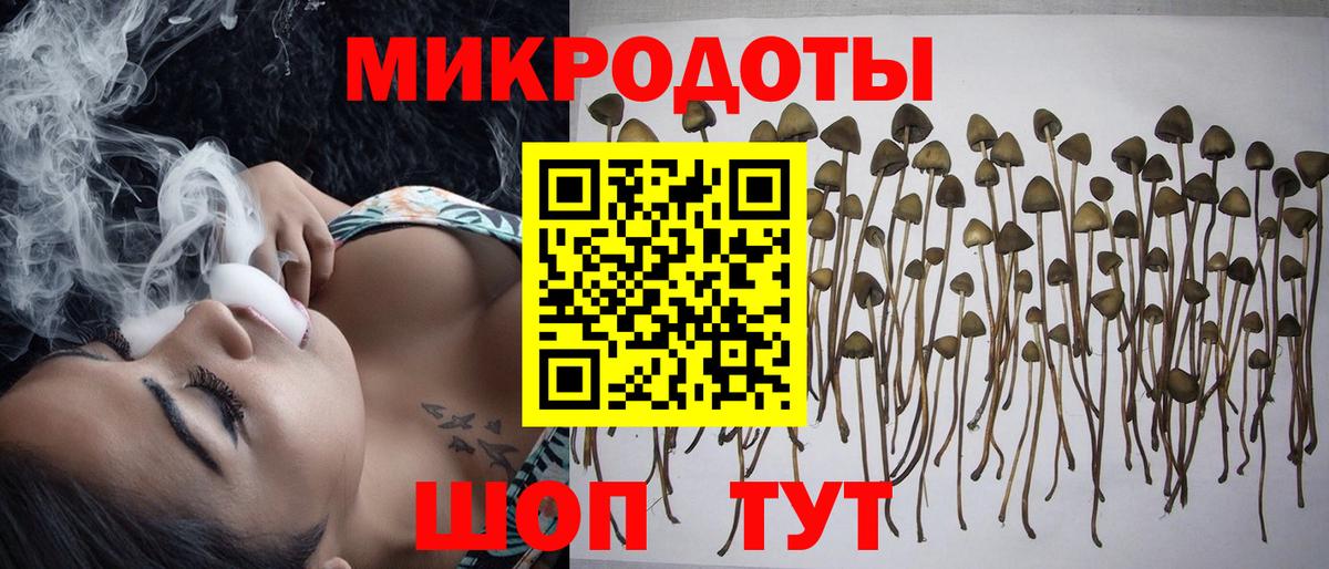 Сибай  Псилоцибиновые грибы Cubensis  Вход с VPN 